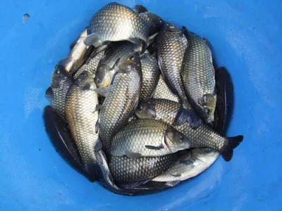 가을 하늘아래 각평.