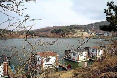 황청낚시터]수상좌대/수상방갈로 소개및 3월13일 조황정보