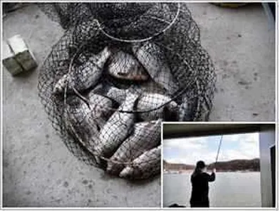 [각평지] 3월 23~25 주말 조황 정보