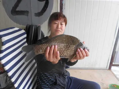 당진"가교리지"4짜토종붕어와여조사님