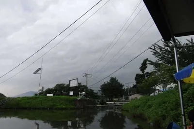 8월 8일 각평지 조황정보