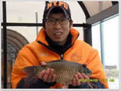 [황청지]4월2일 조황체크