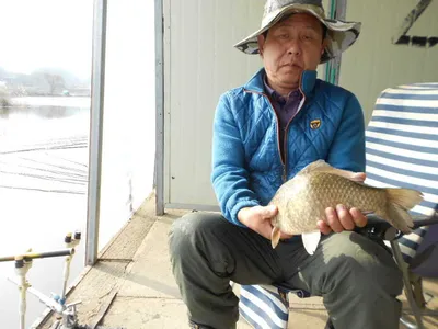 당진"가교리낚시터"순수 대호만붕어..