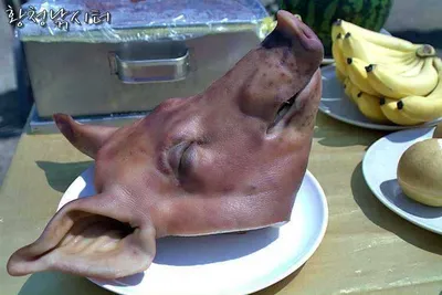 [황청낚시터]개장식에 참석해주셔서 감사합니다.