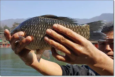 택암낚시터 5월의 이모저모