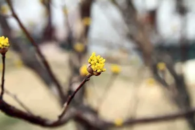[황청낚시터]편의시설을 고루갖추었습니다.