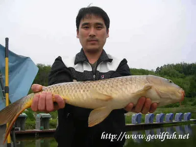 포인트의 이동?