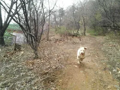 안성죽산장계지