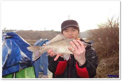 4월 1일 각평지 조황정보