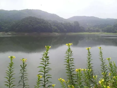 안성 죽산 장계지