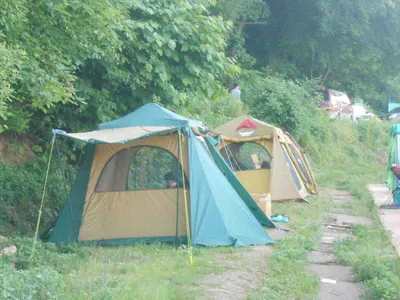 *****실시간 조황사진 올려봅니다*****