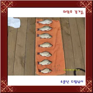 이런마음 처음이야.