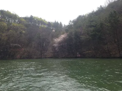 행복낚시터(요룡저수지)