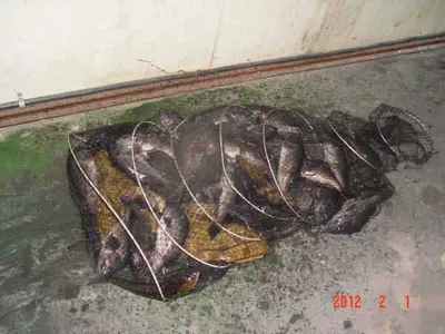 1월 31일 조황 안내!! ★ 김포바다하우스낚시터 ★