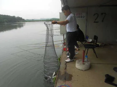 [당진 가교리지 주말 조황정보..]