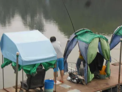 *****실시간 조황사진*****