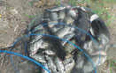 토종잡이터"<노진낚시터>"조황정보