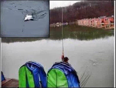 [각평지] 3월 16일 (금) 조황정보