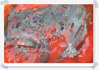 춘천의암호자갈섬낚시터