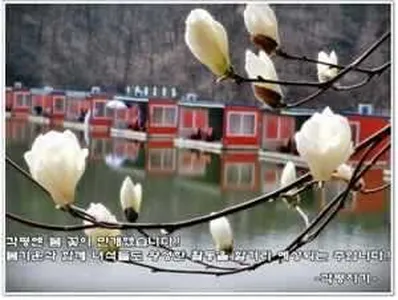 [각평지] 4월 둘째주말 조황정보