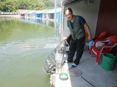 *****실시간 조황사진*****