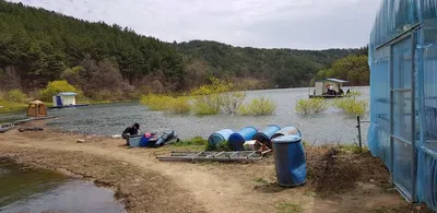 행복낚시터(요롱지)입니다~