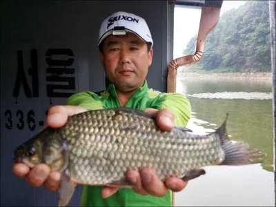 16.09.25.송전지 서울집 조황