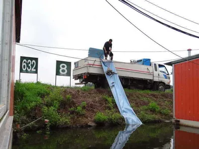 매주 금요일 붕어 방류하는날