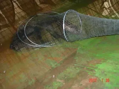 1월 30일 조황 안내!! ★ 김포바다하우스낚시터 ★