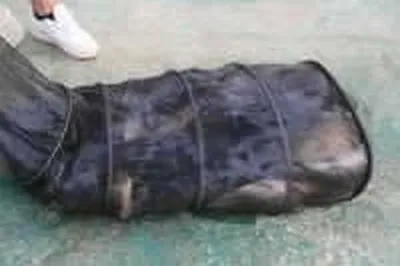 기산낚시터 5월 7일 조황정보