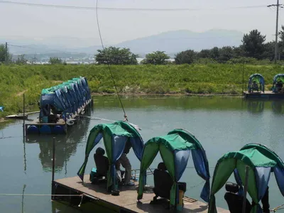 *****실시간 조황사진 올려봅니다*****