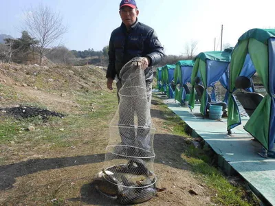 *****조황소식과 무료 수상좌대 마지막주입니다*****