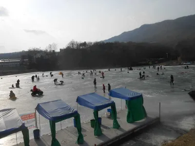 빙어축제조황소식^^