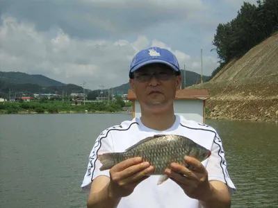 봉림지 조황 정보 및 월척 감상하세요