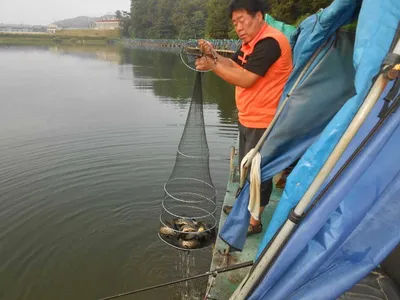 **조황소식&수상좌대이벤트**