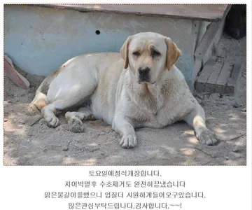 [유일낚시터] 토요일부터 개장합니다,~~!