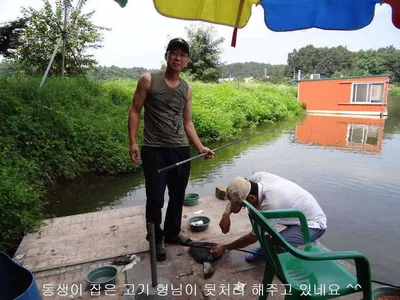 8월 28일 각평지