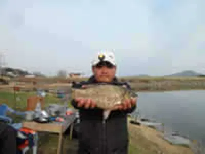 [황청지]노지 조황이 살아나고 있습니다.