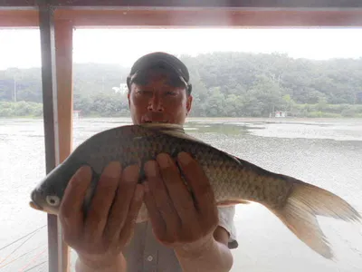 [당진 가교리지 주중 조황화보..]