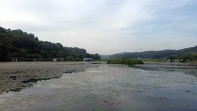 방류만이 살 길 이다 방류~~방류