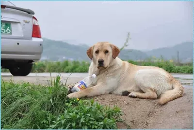 [유일낚시터] 평일조황 좋구요.주말에 방류들어갑니다,