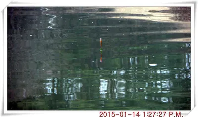 충남 아산 월선낚시터 1월 15일 스케치