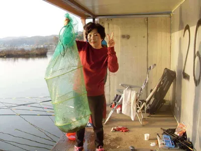 [당진 가교리지] 가을 풍경...