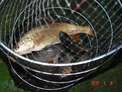 김포바다낚시터 2월 6일 조황(★★★☆☆) - 양호!!