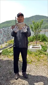 17.05.11 송전지 서울집 조황