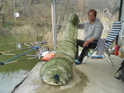 당진"가교리지"조황