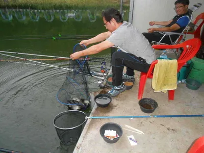 *****실시간 조황사진*****