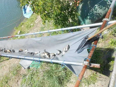 *****실시간 조황입니다*****