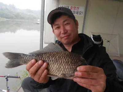 [당진 가교리지 주중 조황정보..]