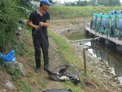 *****실시간 조황사진 올려봅니다*****